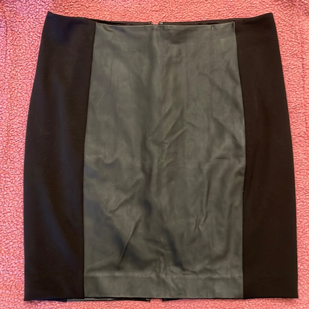 Express Pencil Skirt